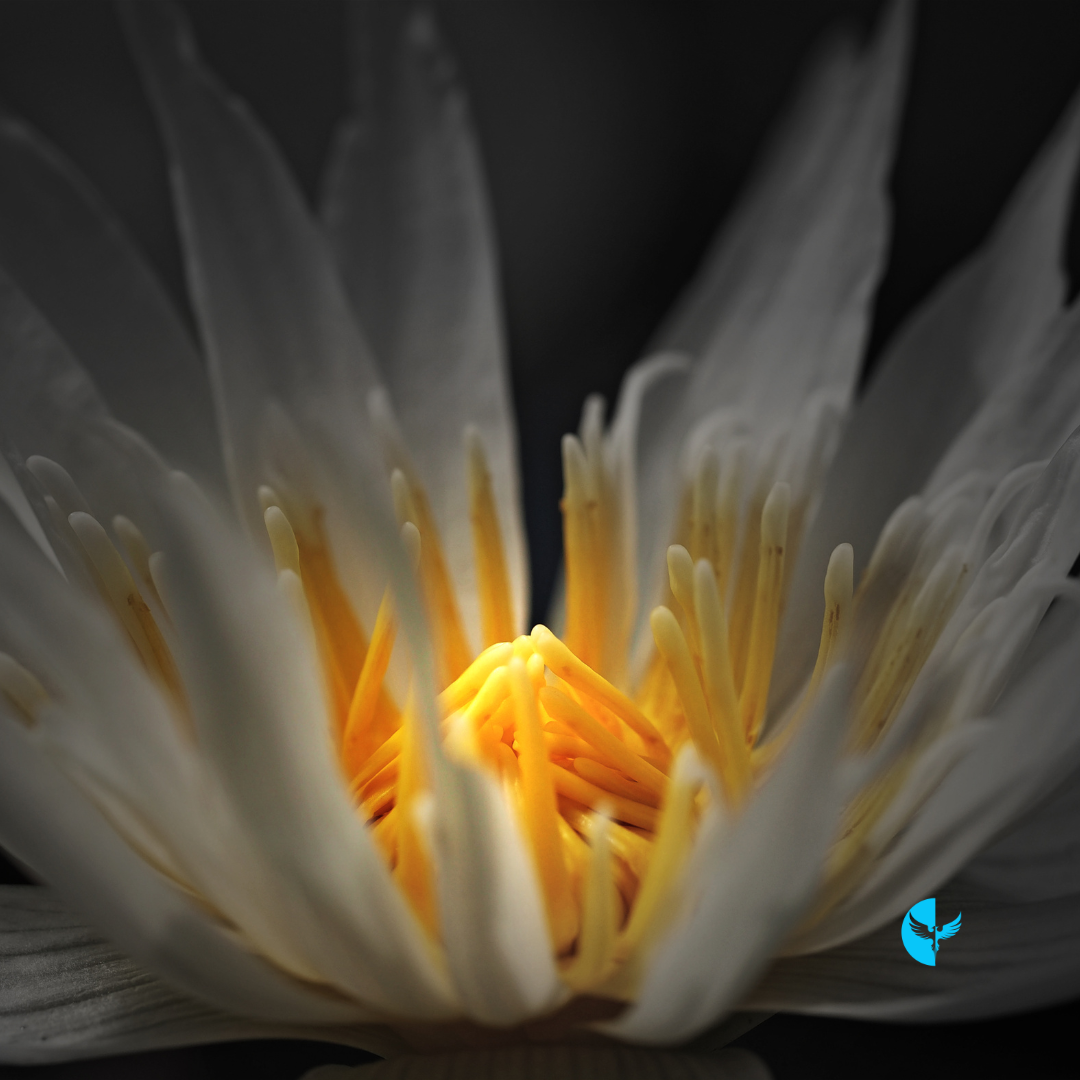 Awaken to Truth: Living in Harmony With God and Self