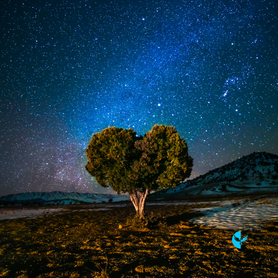 Awakening to God’s Truth: Living From a Place of Trust