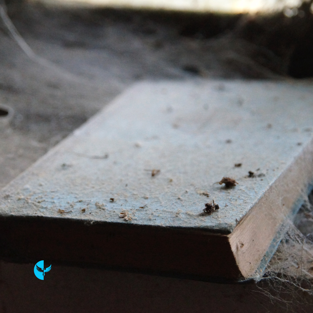 Rediscovering the Divine Within