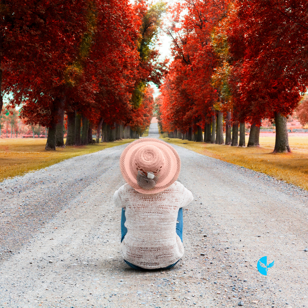 Seasons of Waiting: Trusting God When Answers Don’t Come