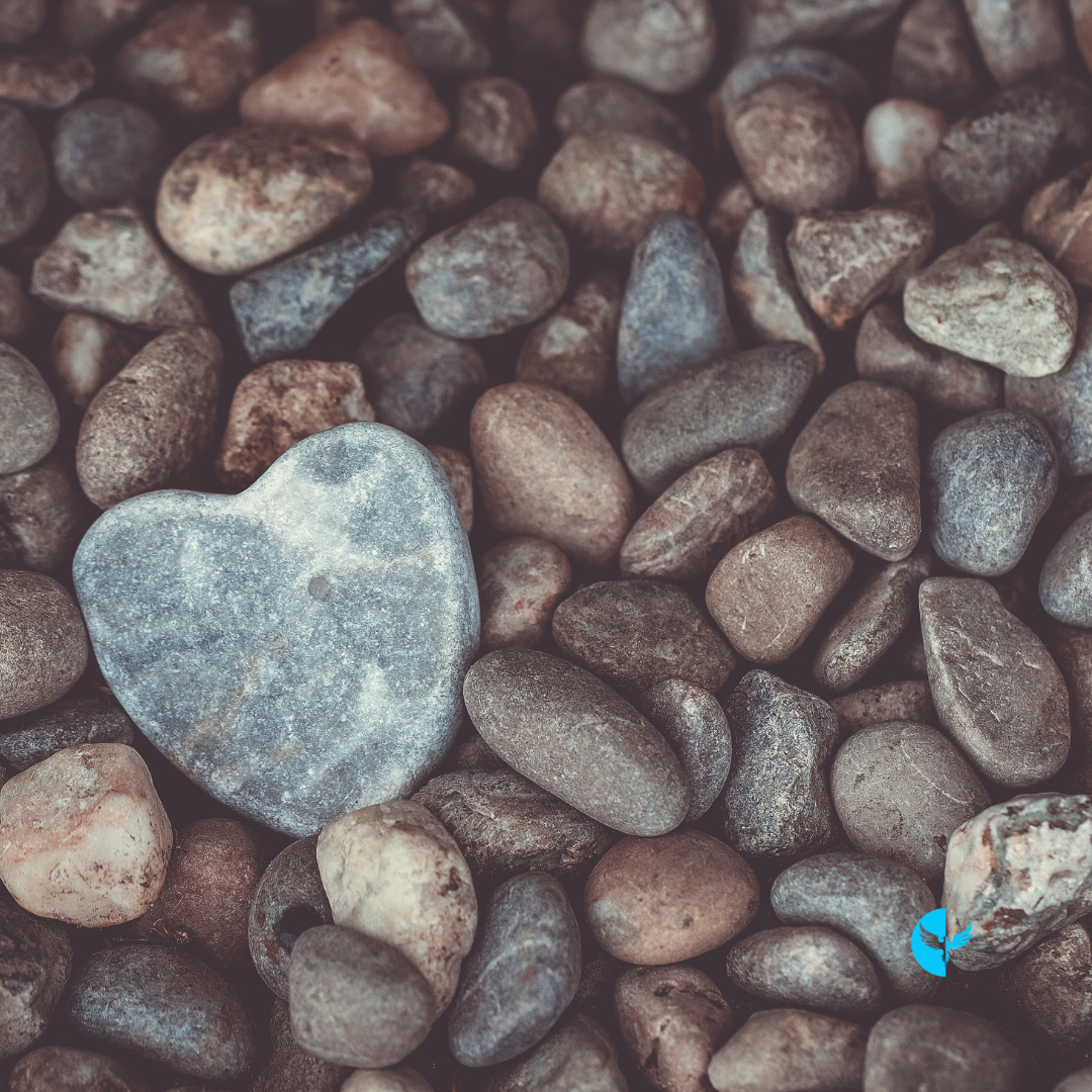 Living Out Your Calling: Staying Rooted in God’s Guidance