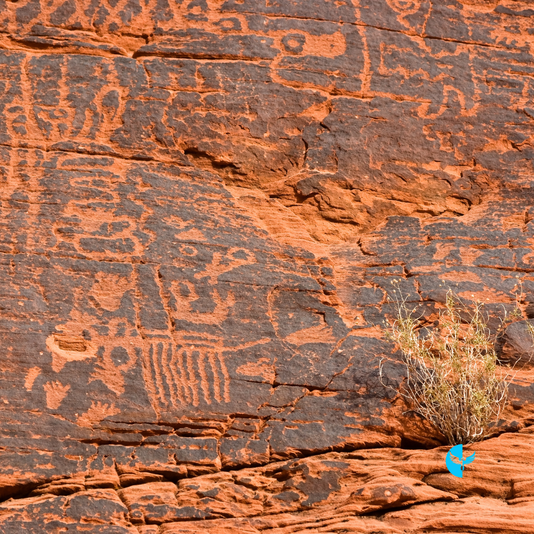 Discovering God’s Purpose: Trusting the Path Ahead