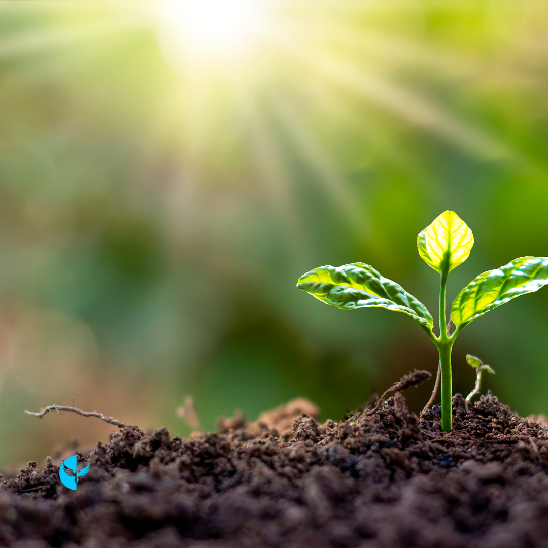 The Light Within: Fearless Growth