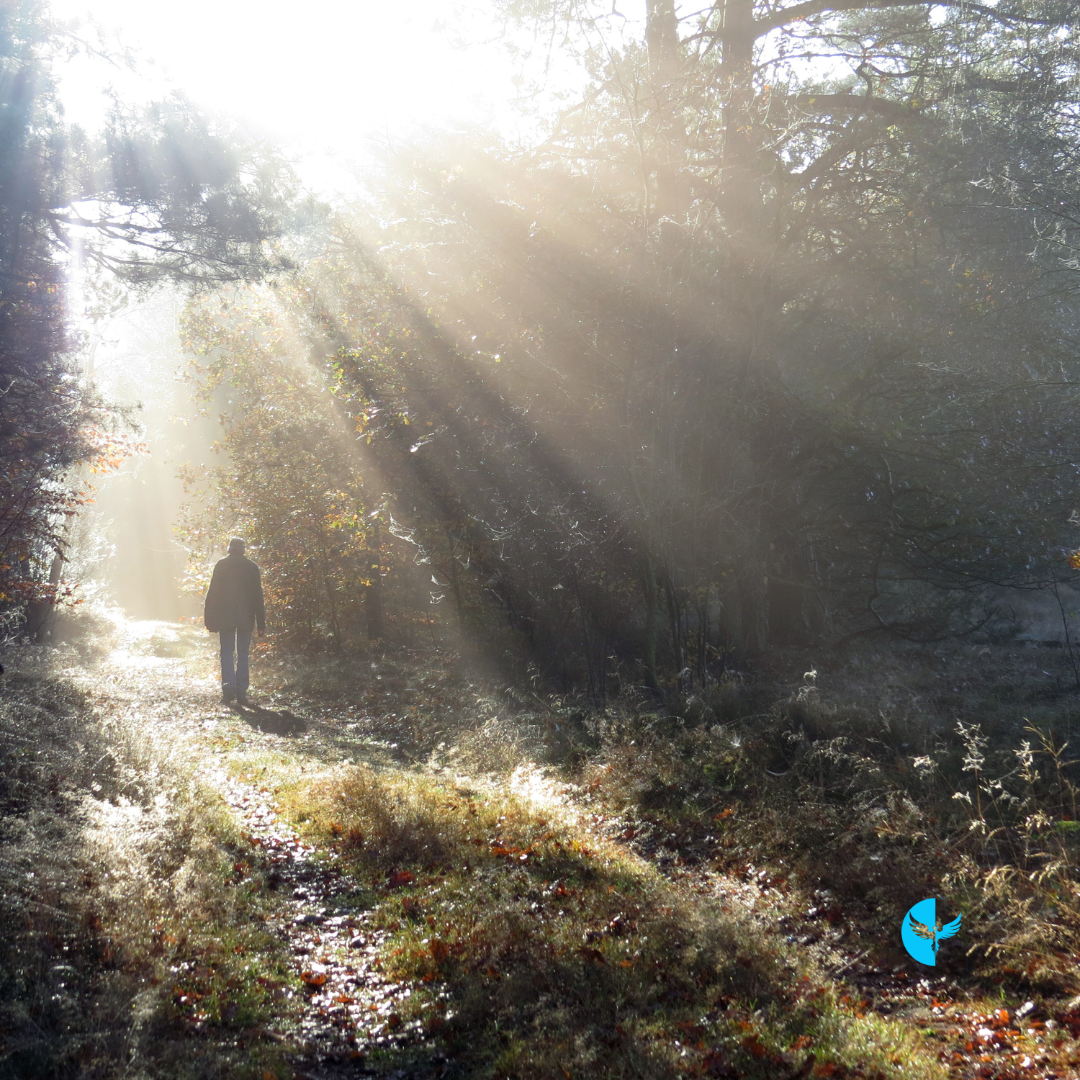 Cultivating Inner Peace: Finding Stillness in the Midst of Life’s Storms