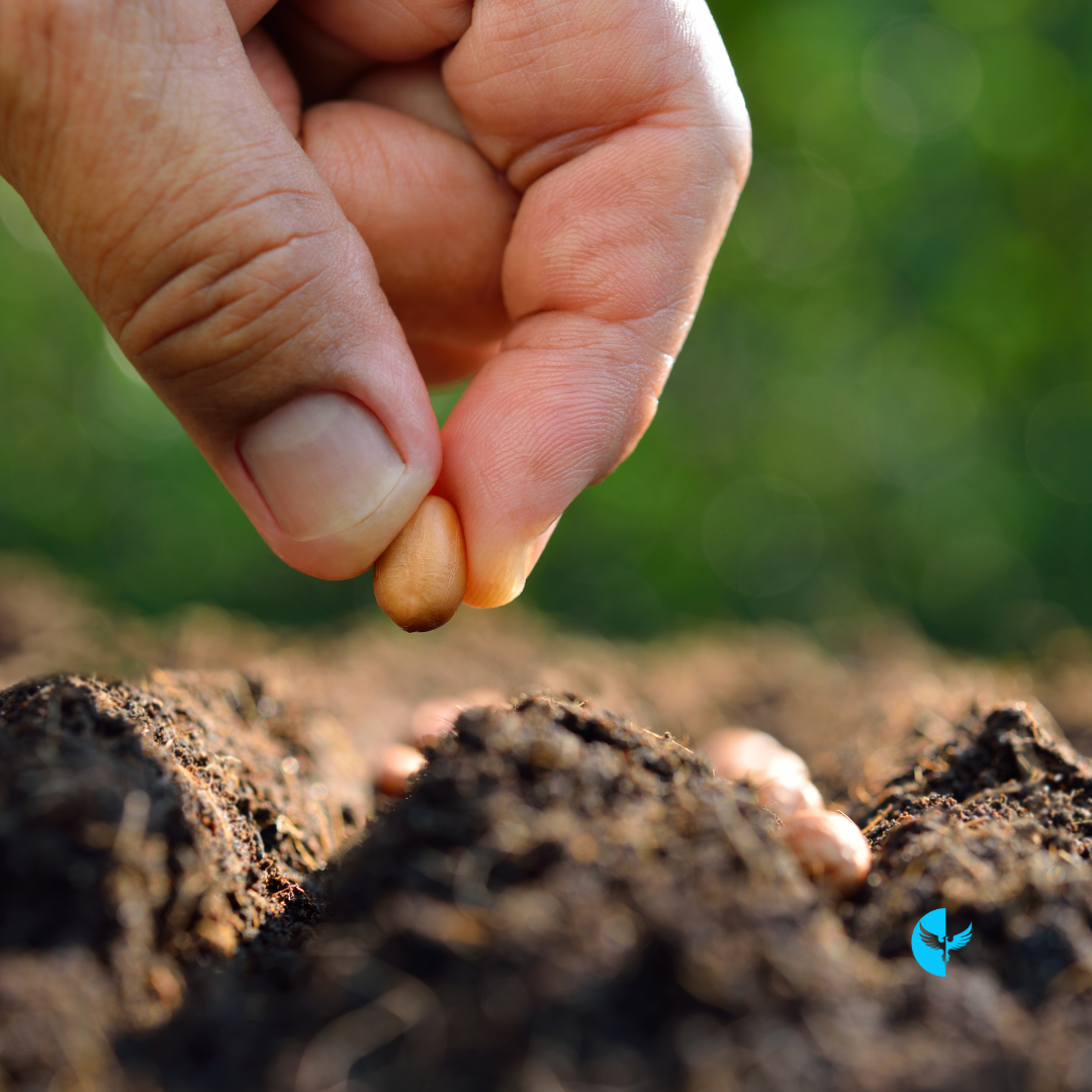 Living With a Peaceful Heart: Guarding Your Mind Against Negativity