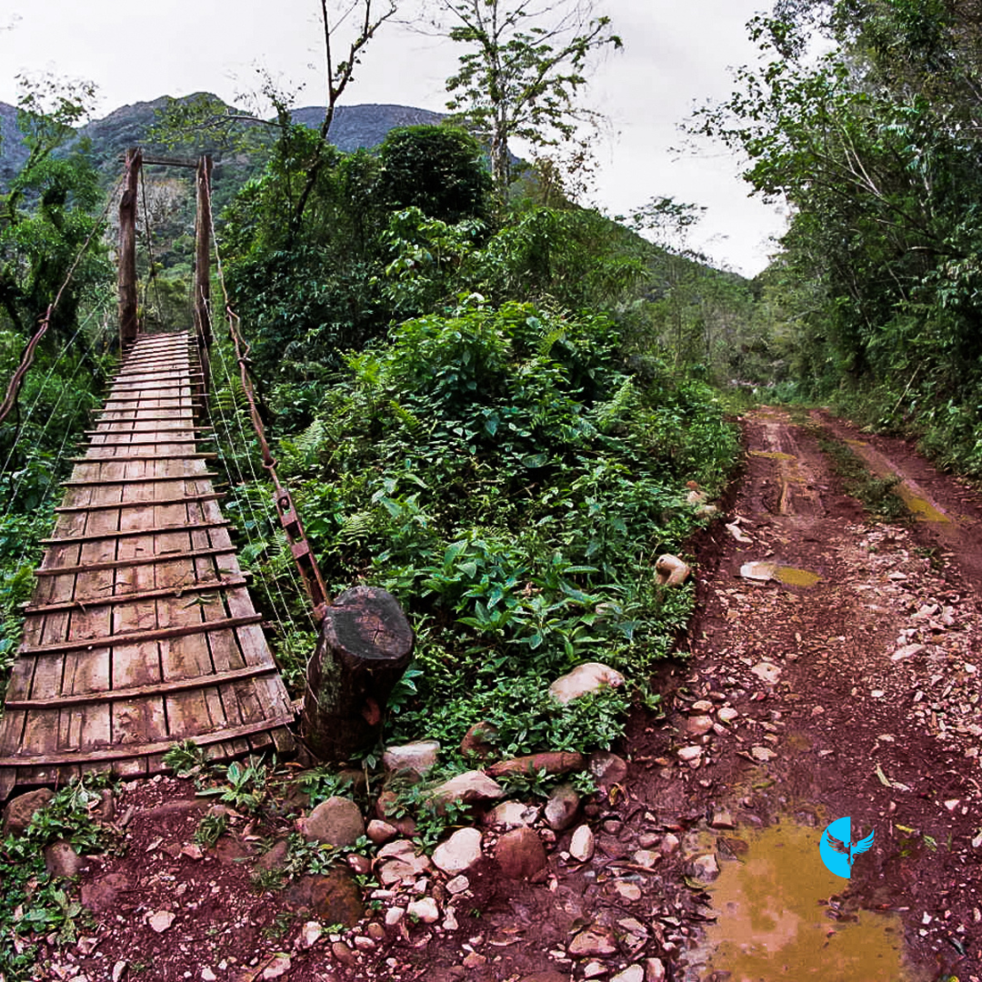 The Art of Trusting the Unknown