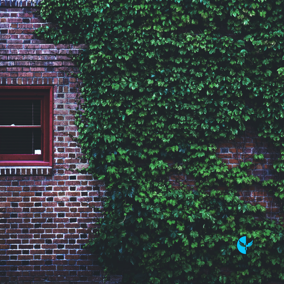 The Light Within: Letting Go of Regrets