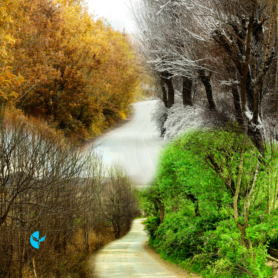 The Sacredness of Starting Over