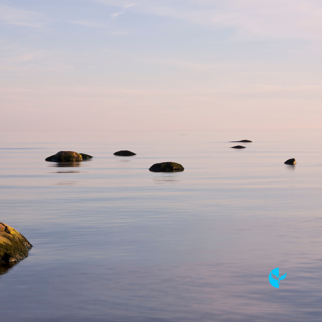 The Beauty of Stillness