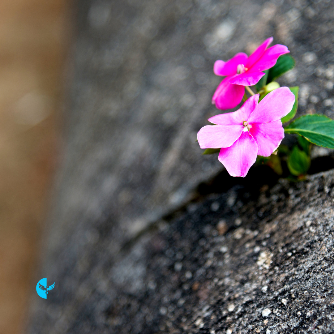 Strength in Surrender