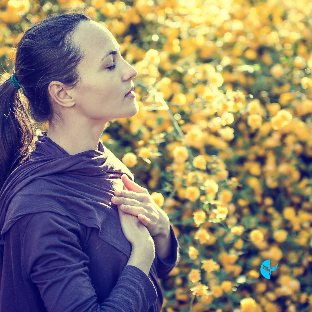 Seeing the World Through a Lens of Faith: Gratitude Changes Everything