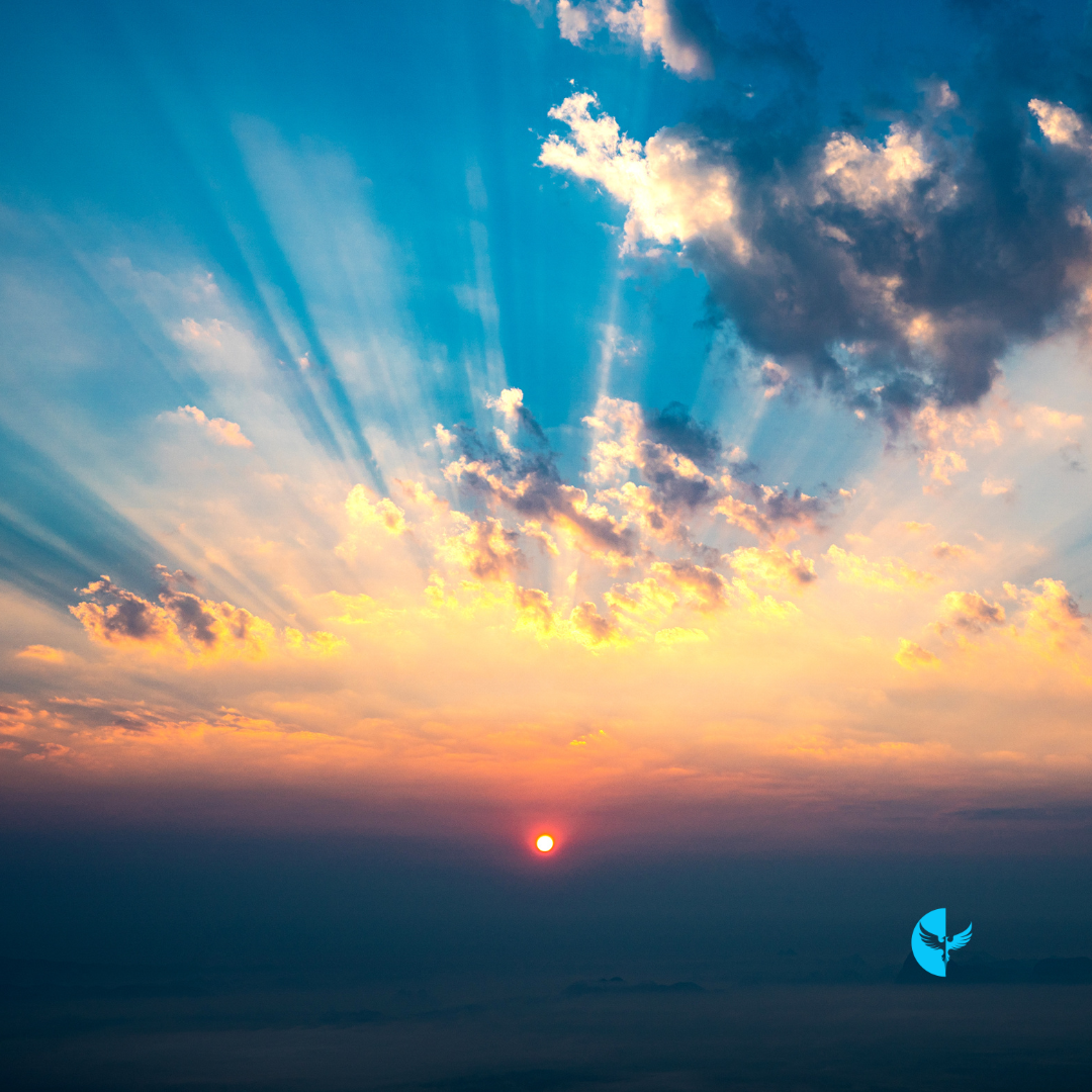 The Light Within: The Gift of Gratitude