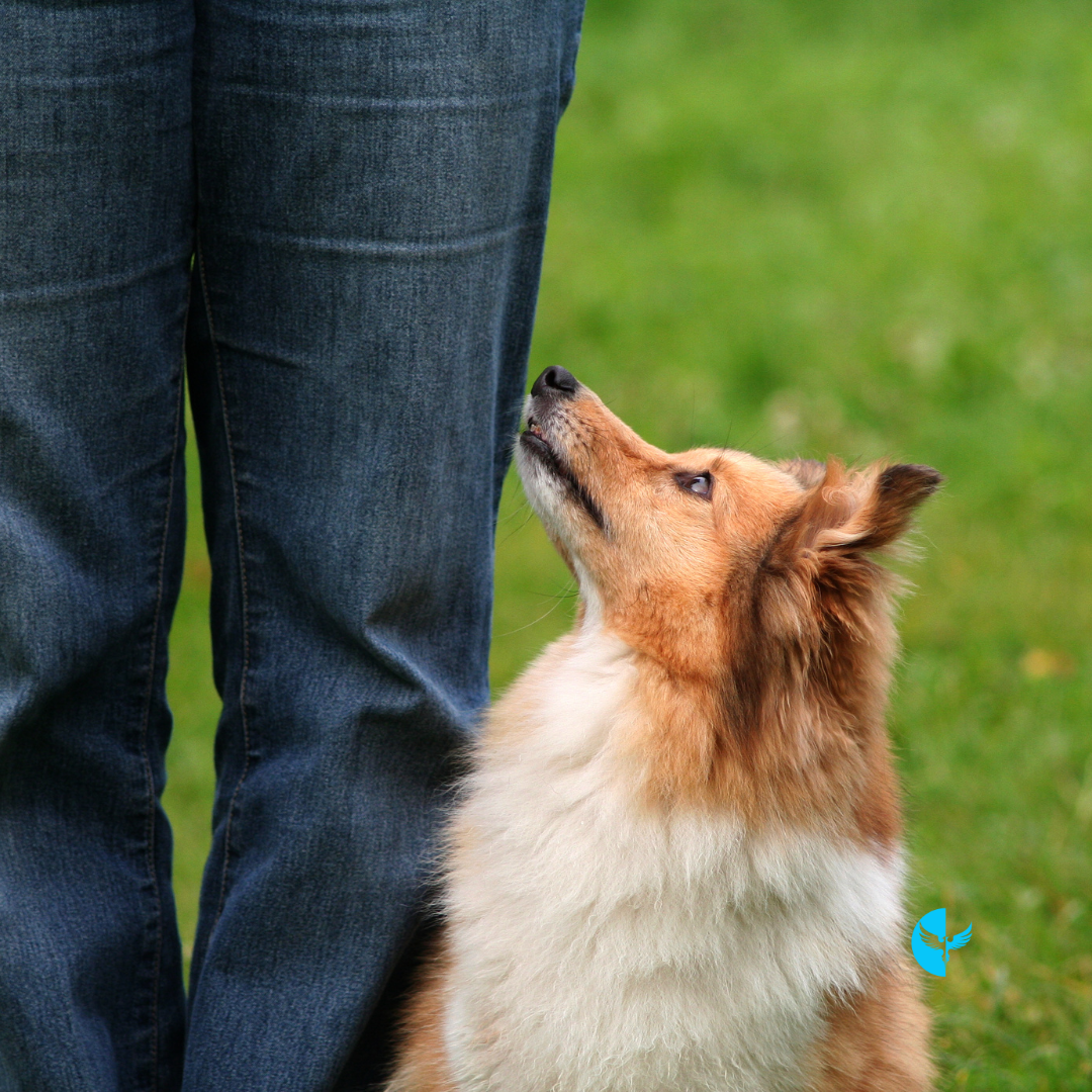 The Journey of Becoming: Walking in Obedience