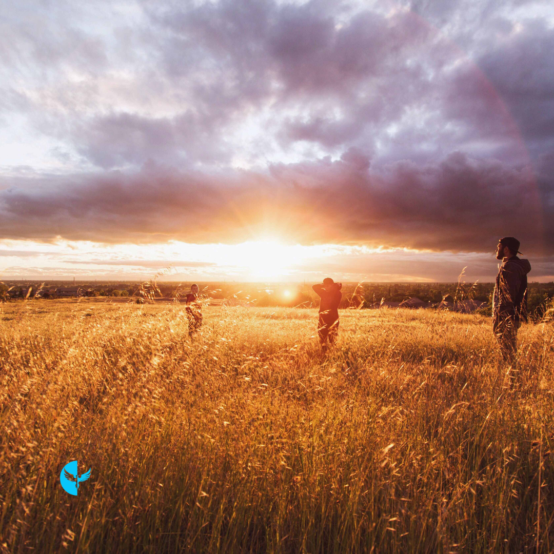 Seasons of Renewal and Harvest: Celebrating Small and Big Wins