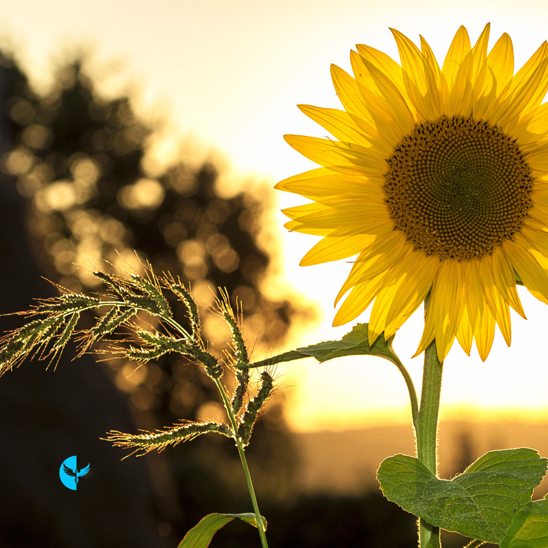 Seasons of Growth: Leaning Into the Stretching