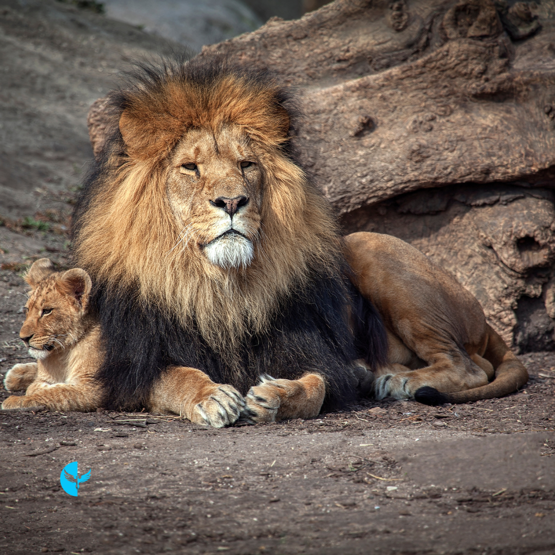 Seasons of Growth: Facing Fear with Courage