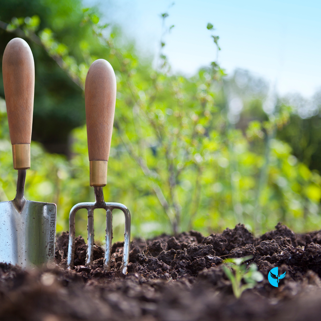 Seasons of Growth: Nurturing the Seeds God Has Planted