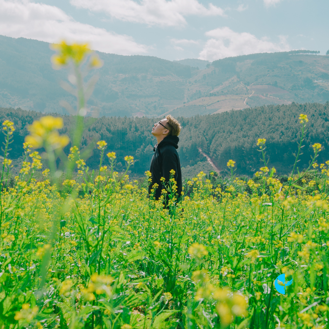 Seasons of Growth: Overcoming Growing Pains