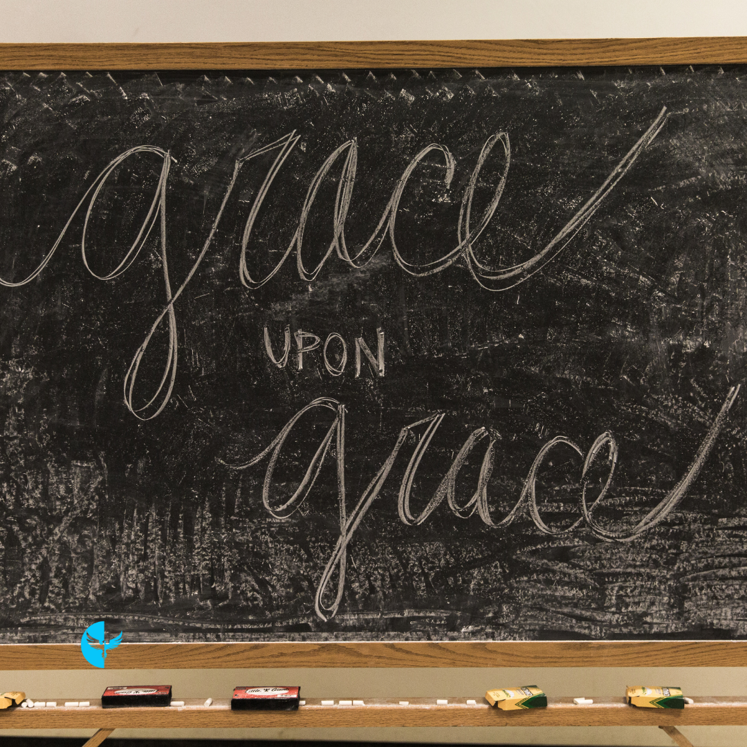 Seasons of Trust: Choosing Gratitude for the Journey