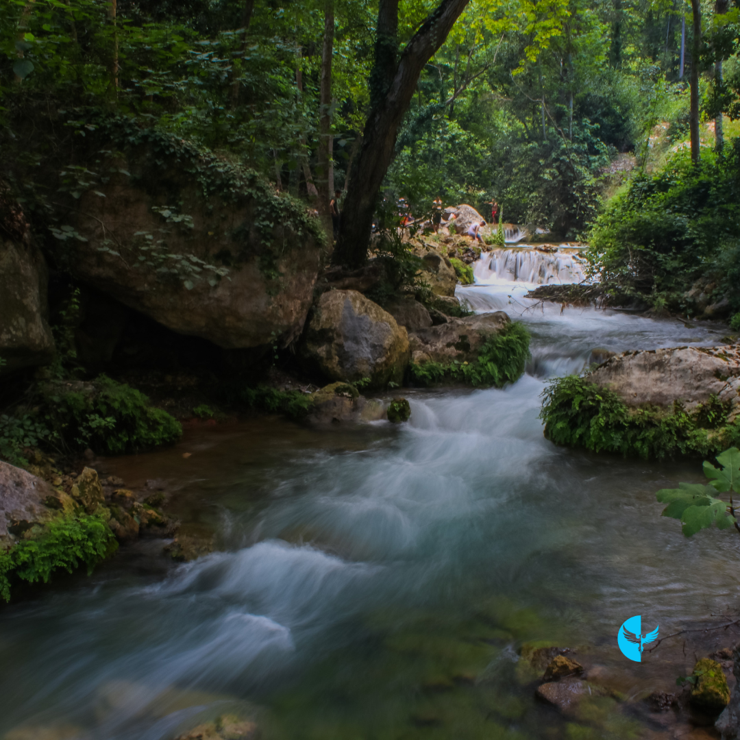 Seasons of Trust: Surrendering to God’s Perfect Timing