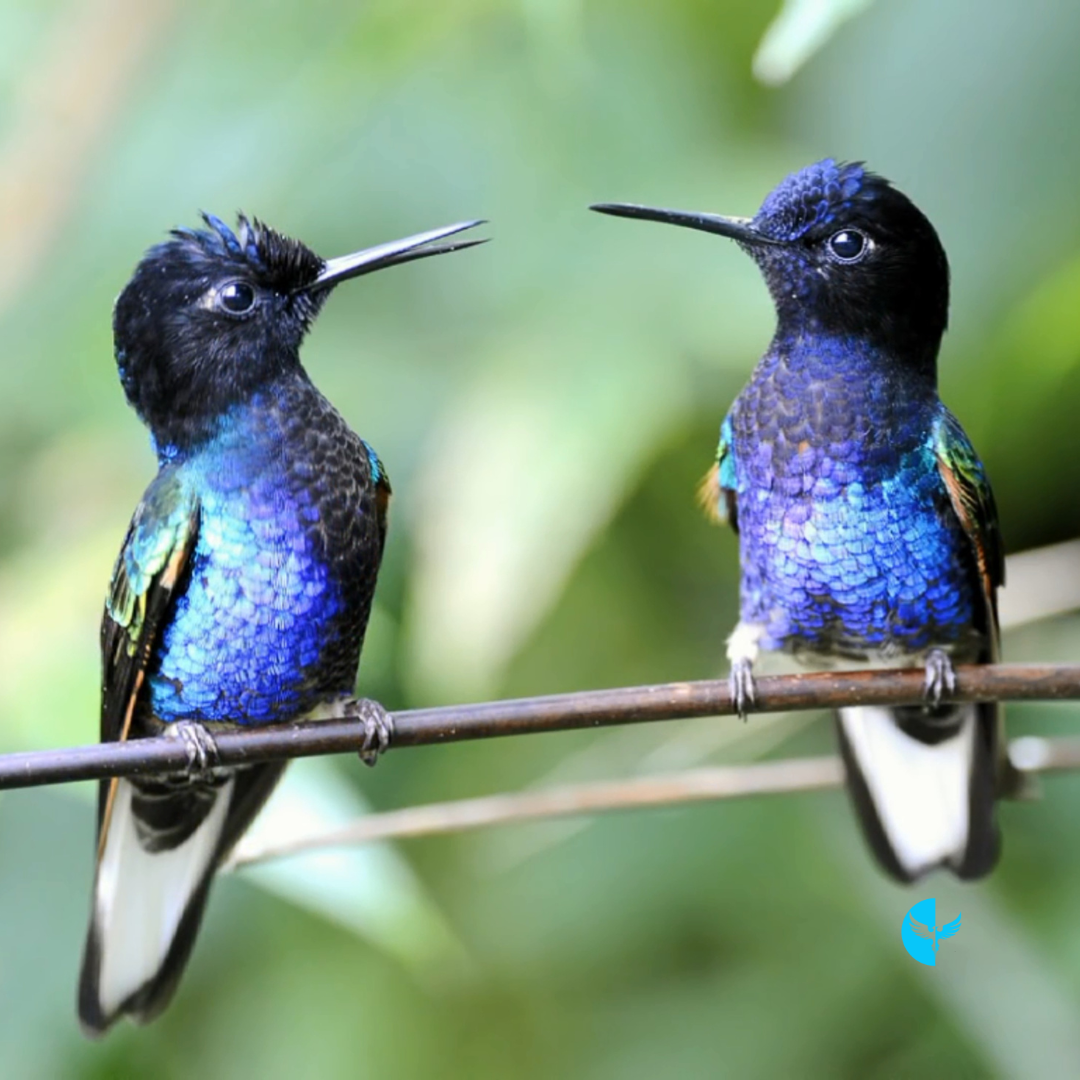 Living in Harmony: Embracing the Power of Forgiveness