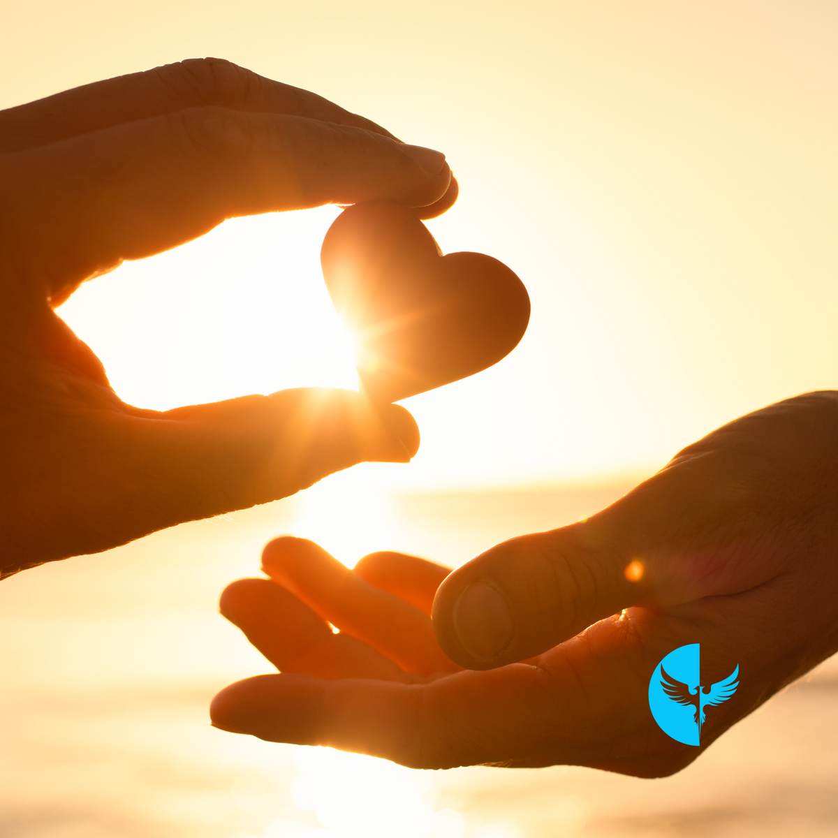 The Art of Spreading Kindness (and Why It’s Easier Than Parallel Parki