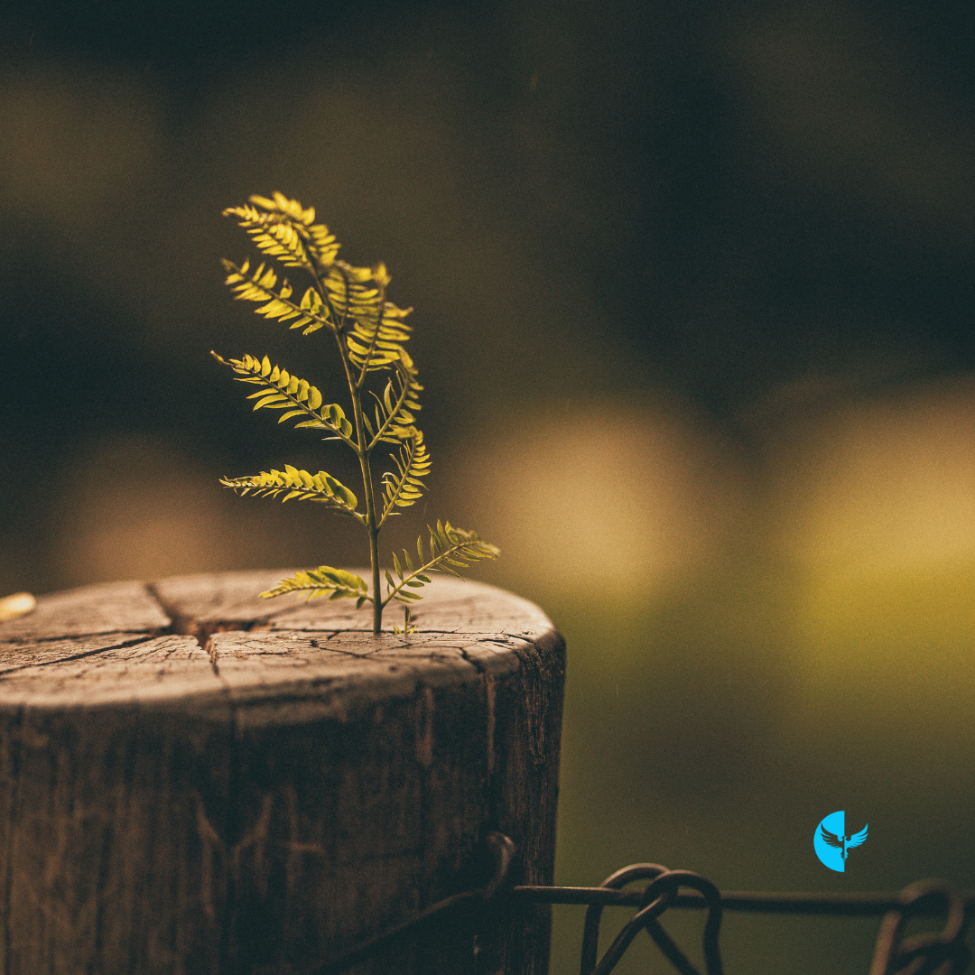 Building Resilience Through Change