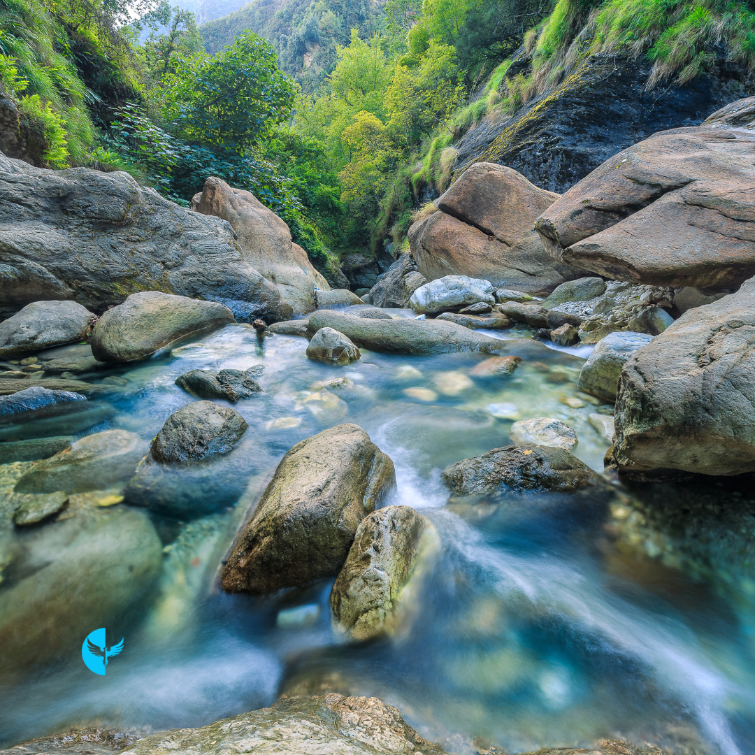 Walking With Purpose: A Life Aligned With God’s Will